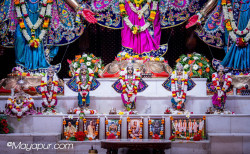 Daily Darshan