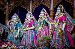 Daily Darshan