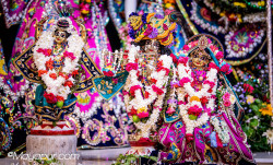 Daily Darshan
