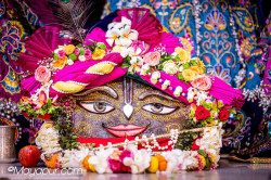 Daily Darshan