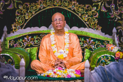 Daily Darshan