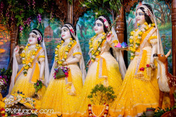 Daily Darshan