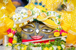 Daily Darshan