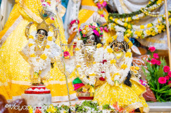 Daily Darshan