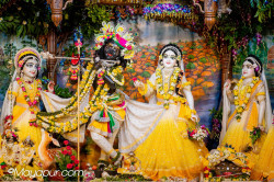 Daily Darshan