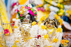 Daily Darshan