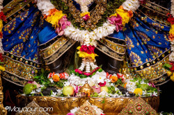 Daily Darshan