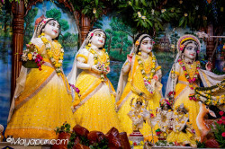 Daily Darshan