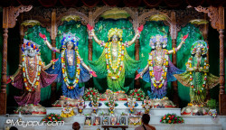 Daily Darshan