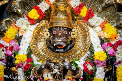 Daily Darshan