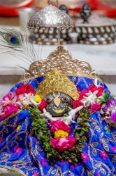 Daily Darshan