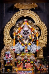 Daily Darshan