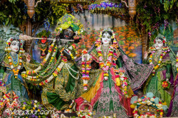 Daily Darshan