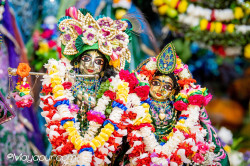 Daily Darshan