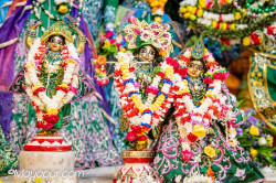 Daily Darshan