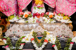 Daily Darshan