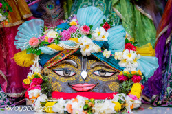 Daily Darshan