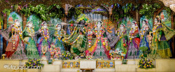 Daily Darshan