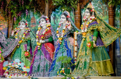 Daily Darshan