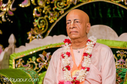 Daily Darshan