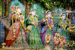 Daily Darshan