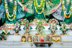 Daily Darshan