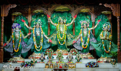 Daily Darshan