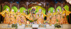Daily Darshan