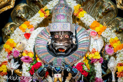 Daily Darshan