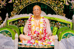 Daily Darshan
