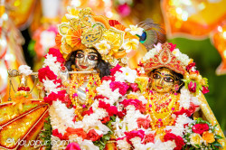 Daily Darshan