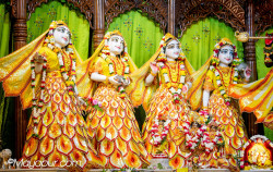 Daily Darshan