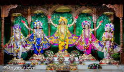 Daily Darshan
