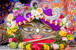 Daily Darshan