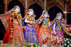 Daily Darshan