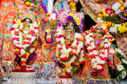 Daily Darshan