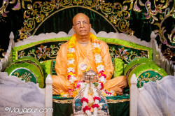 Daily Darshan