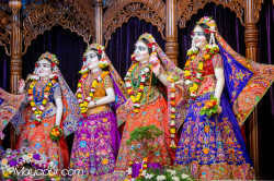 Daily Darshan