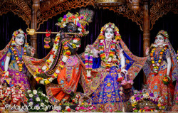 Daily Darshan