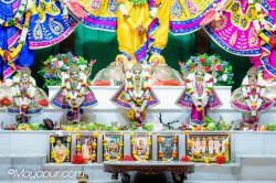 Daily Darshan