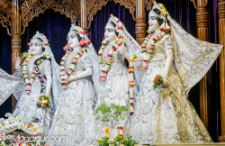 Daily Darshan