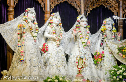 Daily Darshan
