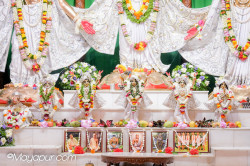 Daily Darshan