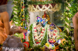 Daily Darshan