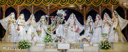 Daily Darshan