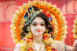 Daily Darshan