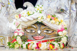 Daily Darshan
