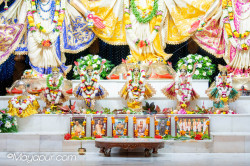Daily Darshan