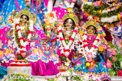 Daily Darshan