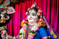 Daily Darshan